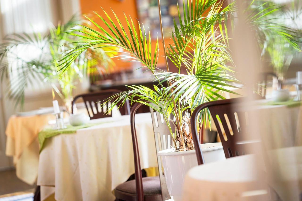 Kurhaus Hotel Bad Bentheim Εξωτερικό φωτογραφία